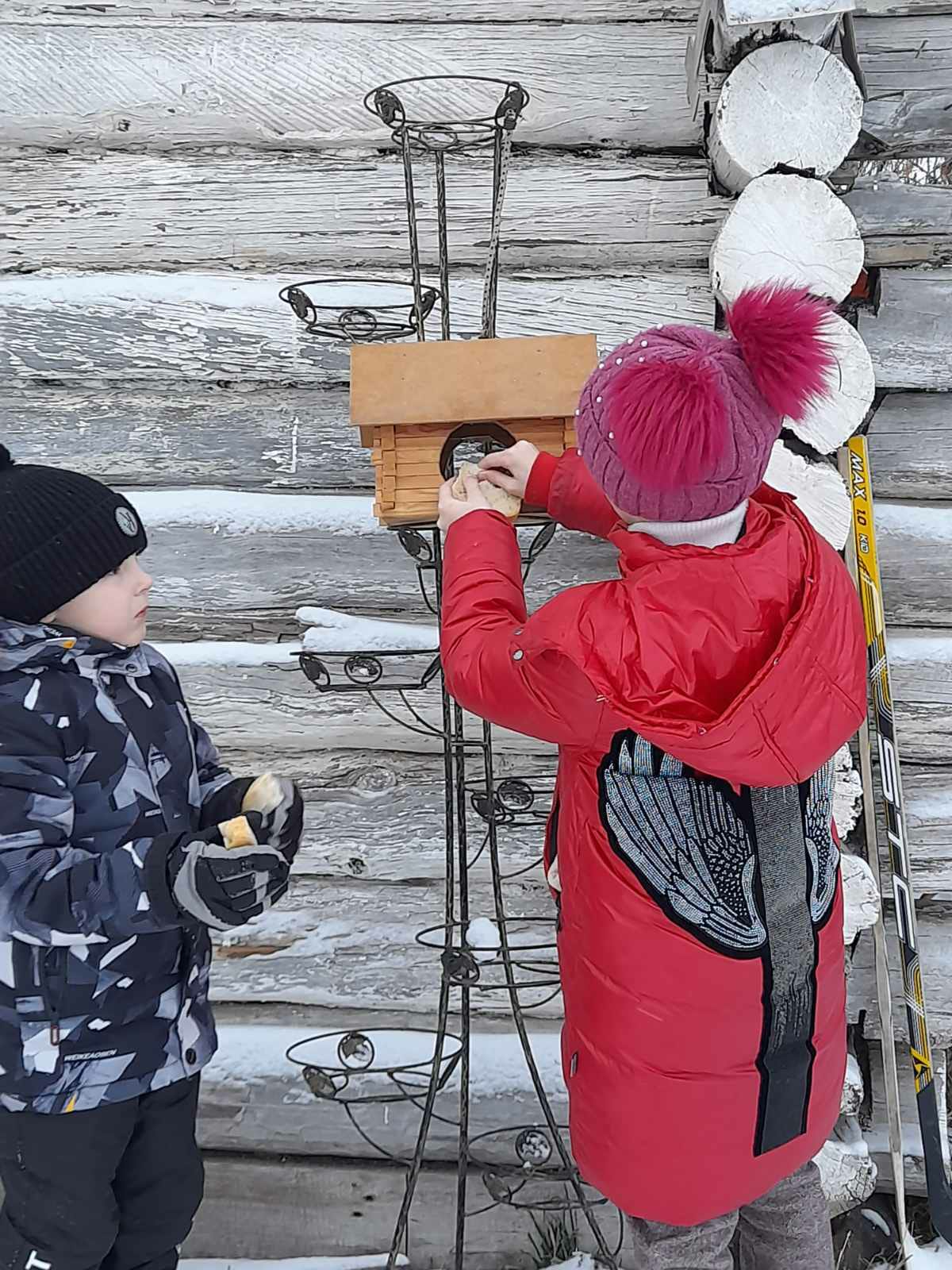 Кормушки для птиц.